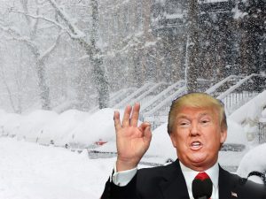 trump snow